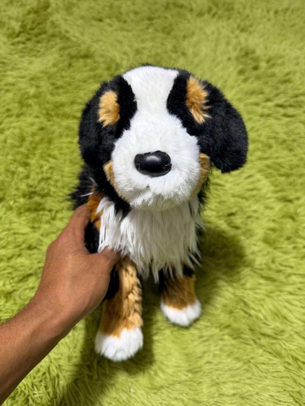 Douglas Trevor Bernese Mountain Dog plush “15”